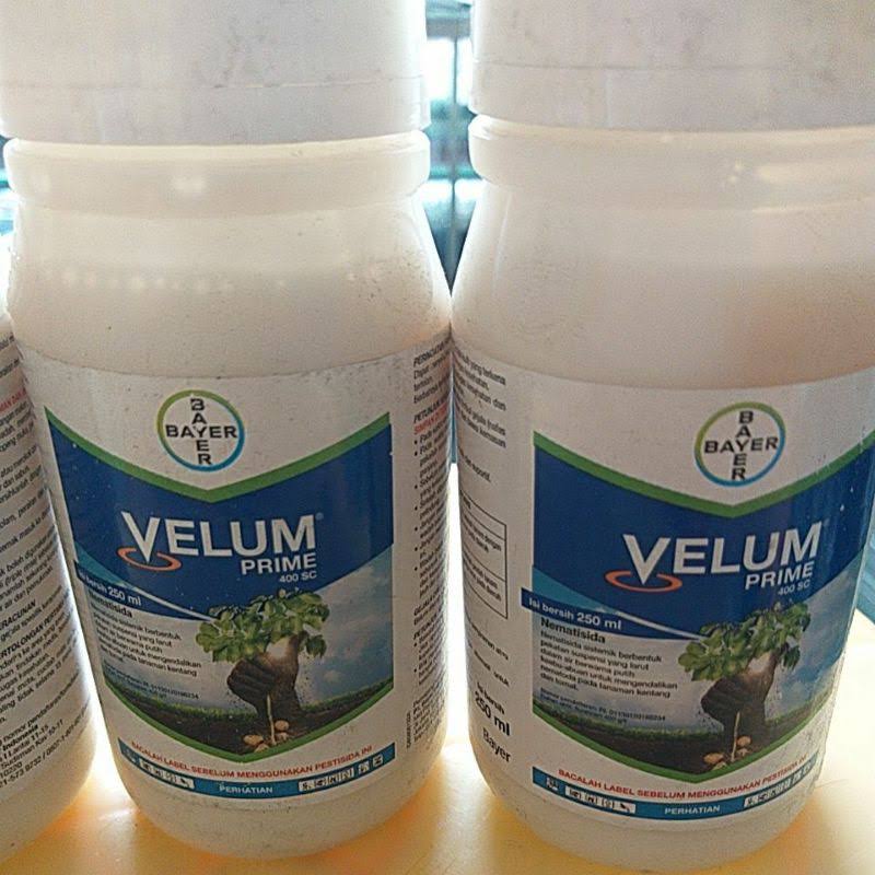 Nematisida VELUM PRIME 400 SC 250ml