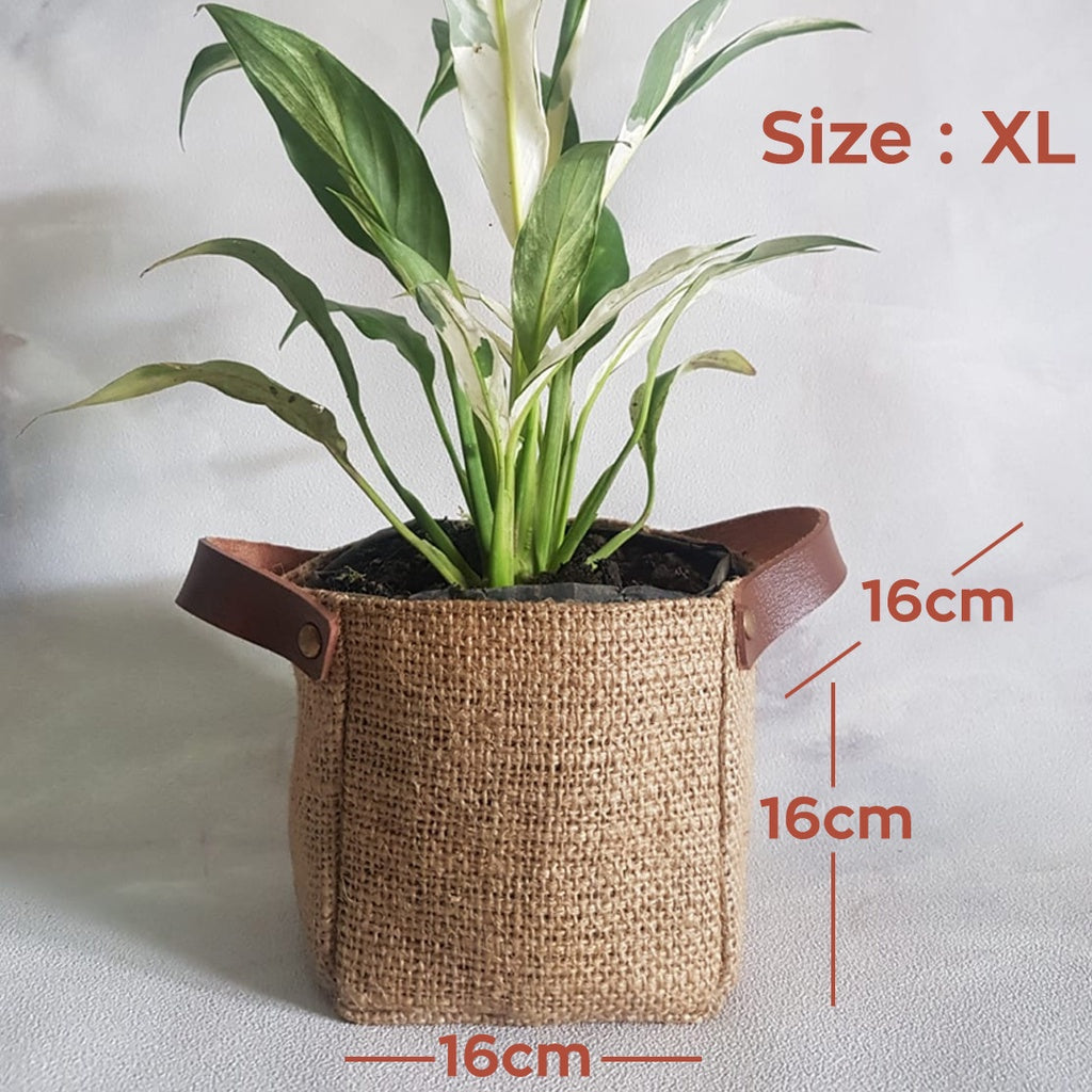 Cover Pot Made of Burlap
