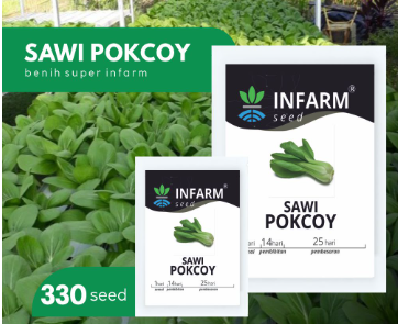 Green Stem Shanghai Bok Choy Seeds | USA Pak Choi Pok Choy Canton Asian Vegetable Chinese Cabbage Tips Spinach 2022 Season Fast Shipping