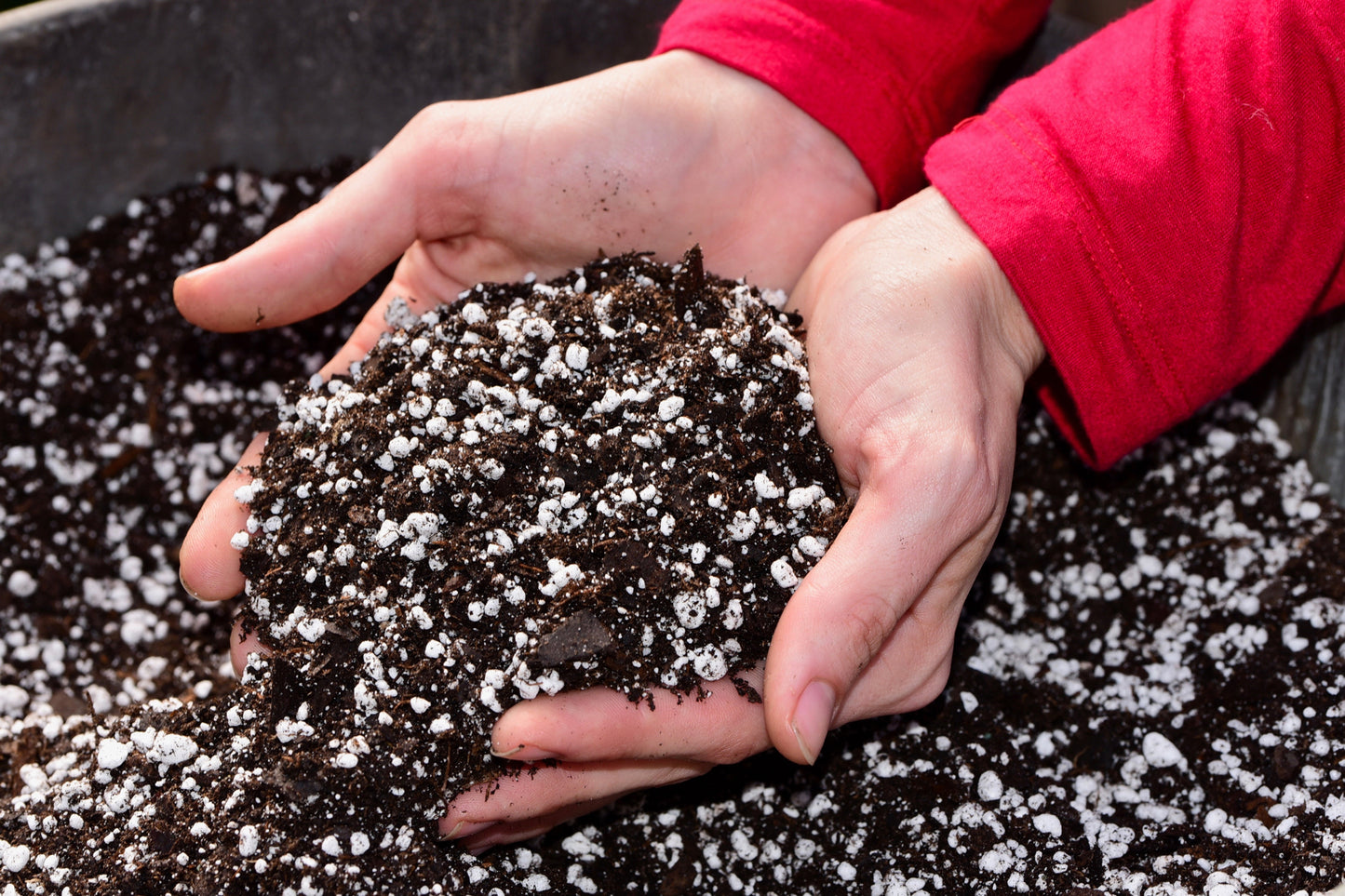 Premium Organic Perlite-Medium Size 3-6mm Grade - Horticultural Soil Amendment for Indoor & Outdoor Container Plants