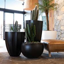 planters & pots
