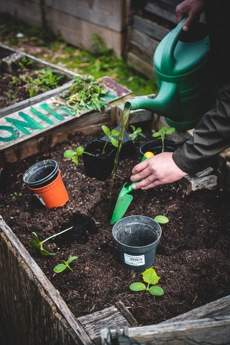 Outdoor & Gardening
