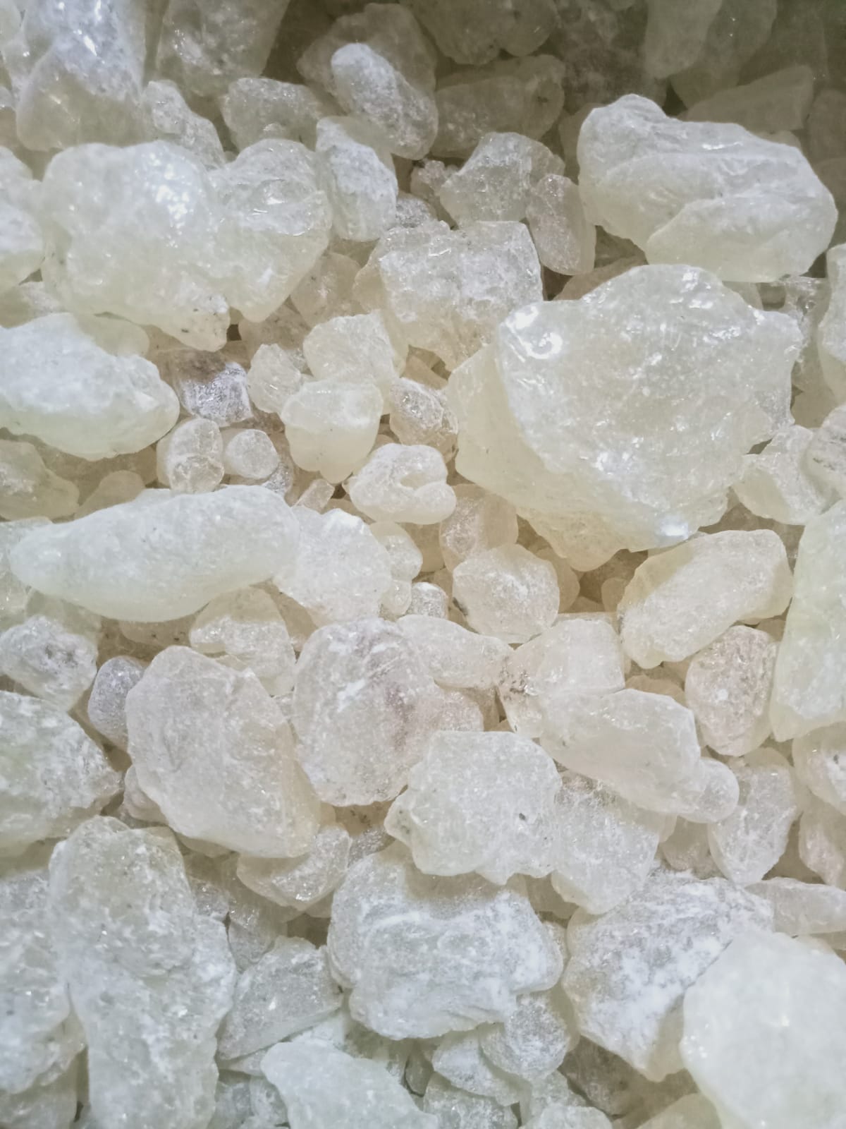 Mastic Chios-GRADE A+ Greece-For incense, medicine & perfume. Natural Chewing Gum-Μαστίχα-Chios Mastic-Pistacia Lentiscus-Greece (1KG)