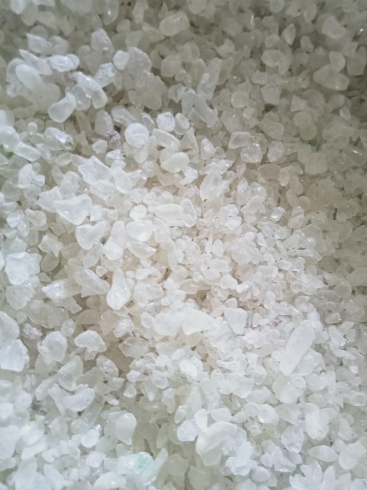 Mastic Chios-GRADE A+ Greece-For incense, medicine & perfume. Natural Chewing Gum-Μαστίχα-Chios Mastic-Pistacia Lentiscus-Greece (1KG)