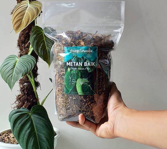 Sol Mix (10 KG)- Tropical Aroid Mix with LECA - Soilless Grow Medium for Monstera, Philodendron, Orchids, Hoya etc (Nutricote Add-On Available)