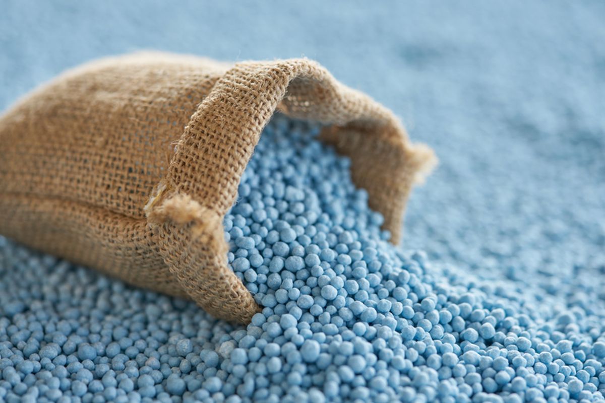 NPK BLUE Fertiliser Granulated Mineral and Organic Super Nitrophoska Soluble NPK Compound Fertilizer 250Gr
