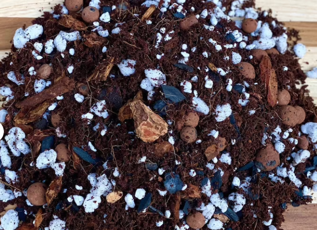 Sol Mix (5 KG)- Tropical Aroid Mix with LECA - Soilless Grow Medium for Monstera, Philodendron, Orchids, Hoya etc (Nutricote Add-On Available)