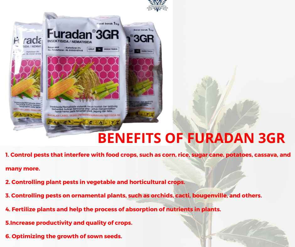 FURADAN 3GR Nematic Insecticide Systemic Contact and Stomach Poison – 1 kilogram