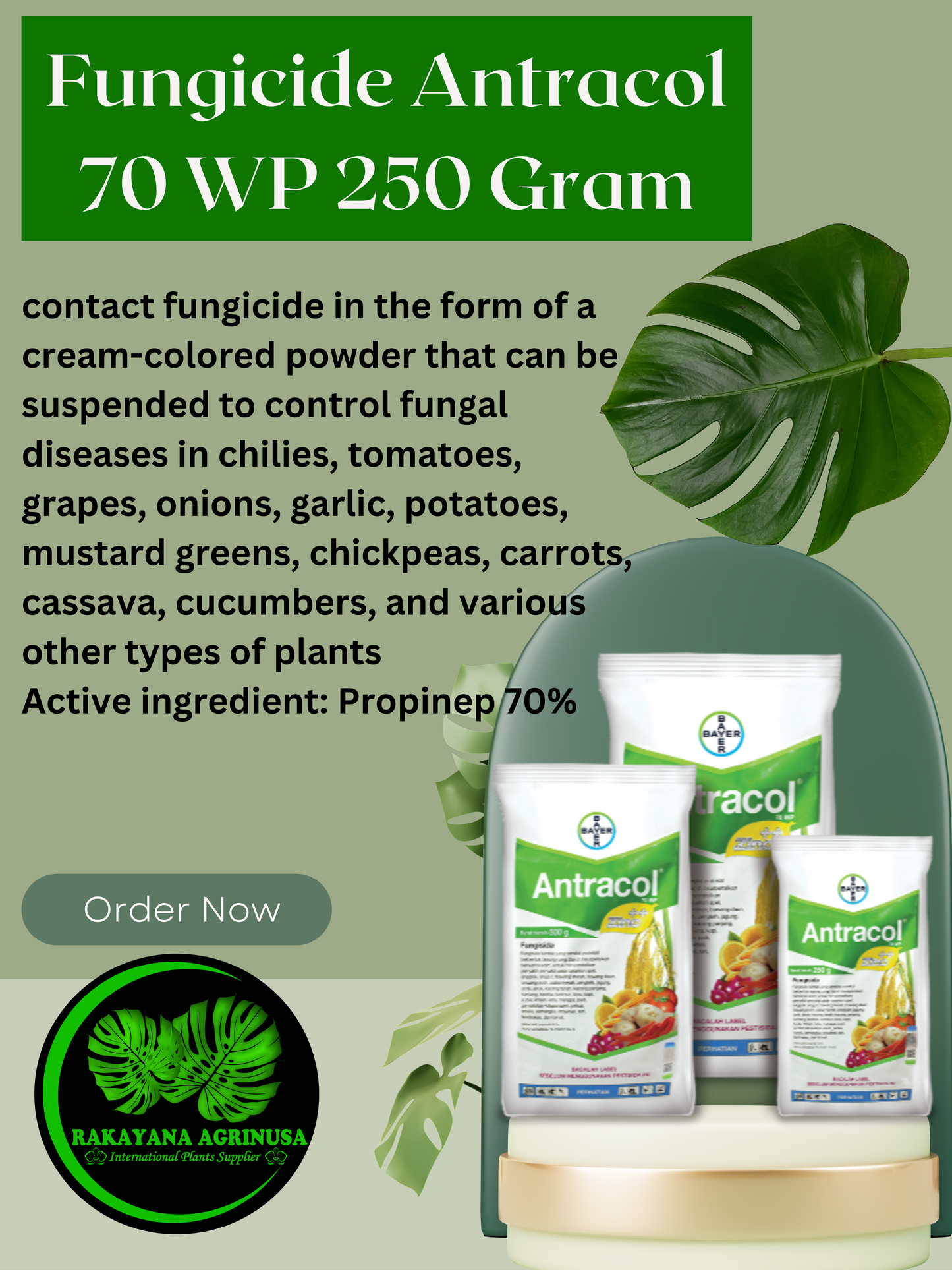 Fungicide Antracol 70 WP 250 Gram