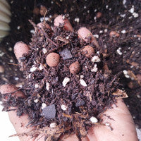 Sol Mix (10 KG)- Tropical Aroid Mix with LECA - Soilless Grow Medium for Monstera, Philodendron, Orchids, Hoya etc (Nutricote Add-On Available)