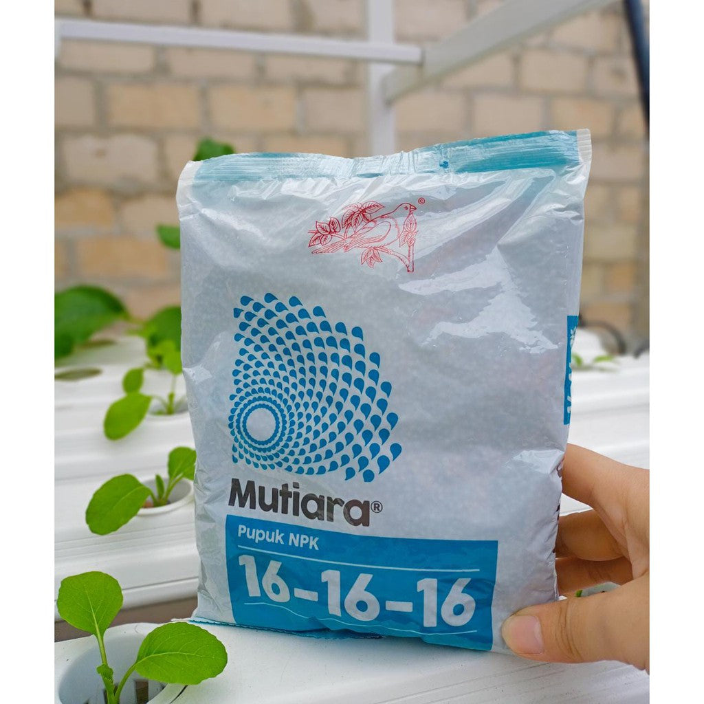 NPK BLUE Fertiliser Granulated Mineral and Organic Super Nitrophoska Soluble NPK Compound Fertilizer 250Gr