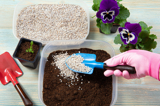 Premium Organic Perlite-Medium Size 3-6mm Grade - Horticultural Soil Amendment for Indoor & Outdoor Container Plants