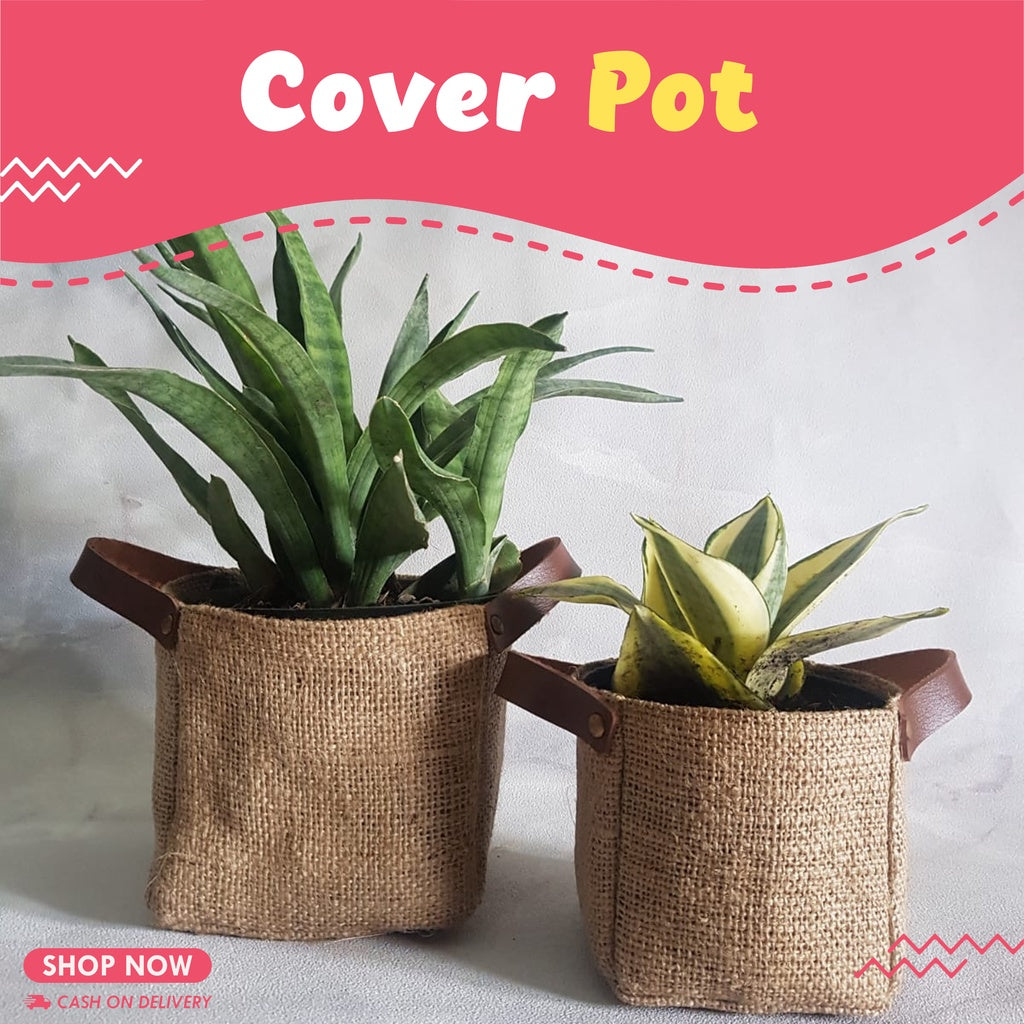 Cover Pot Made of Burlap