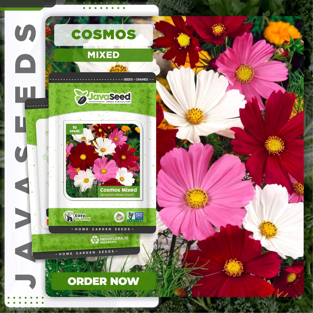 Cosmos Flower Seeds Mixed Sensation 10 Seeds