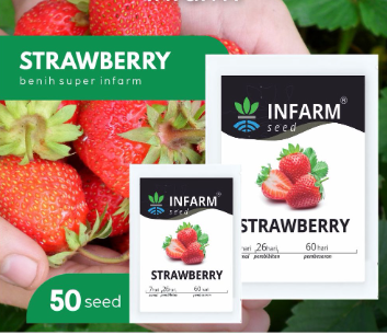 Red Giant Fragaria Ananassa STRAWBERRY Samen, Fruchtsamen, Erbstücksamen, Gartensamen, Bio-Samen, gentechnikfrei