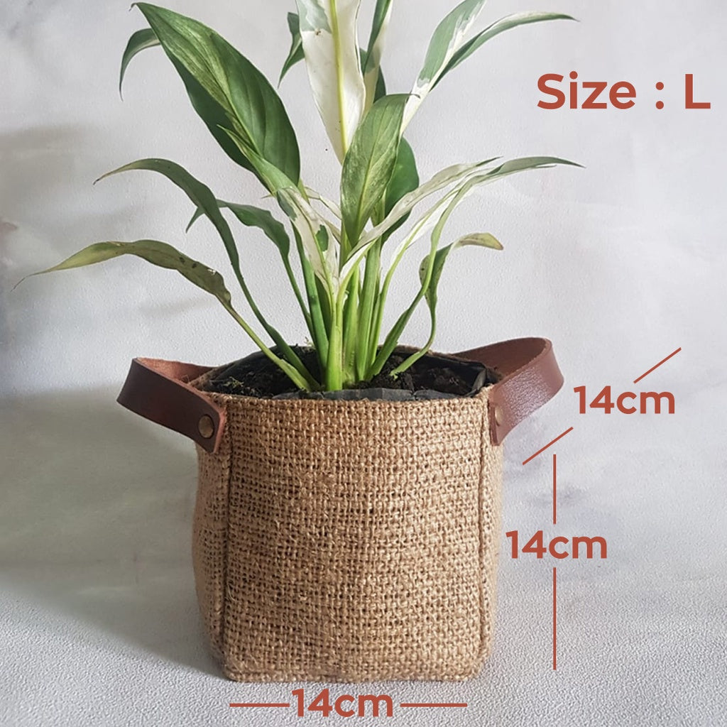 Cover Pot Made of Burlap