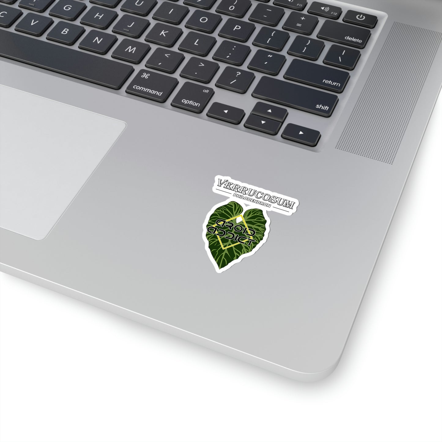 Kiss-Cut Stickers Philodendron Verrucosum