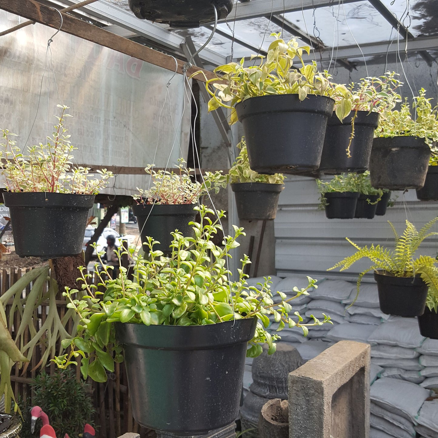 Houseplant Pot Hanging Wire and Orchid Pot Rope 3 Feet