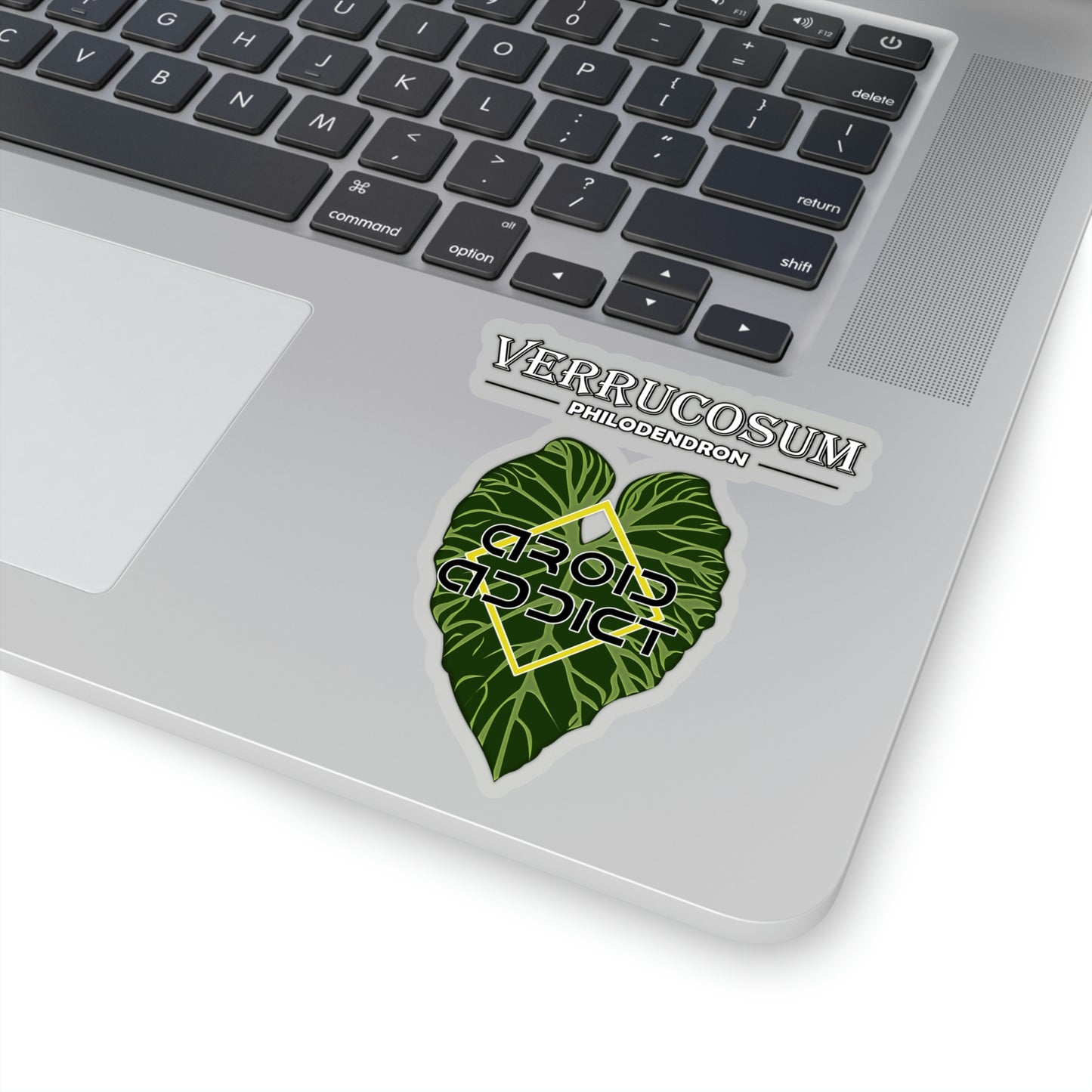 Kiss-Cut Stickers Philodendron Verrucosum