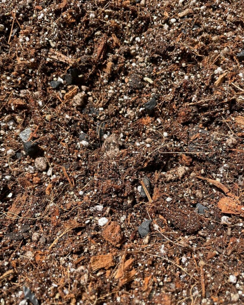 Sol Mix (1 KG)- Tropical Aroid Mix with LECA - Soilless Grow Medium for Monstera, Philodendron, Orchids, Hoya etc (Nutricote Add-On Available)