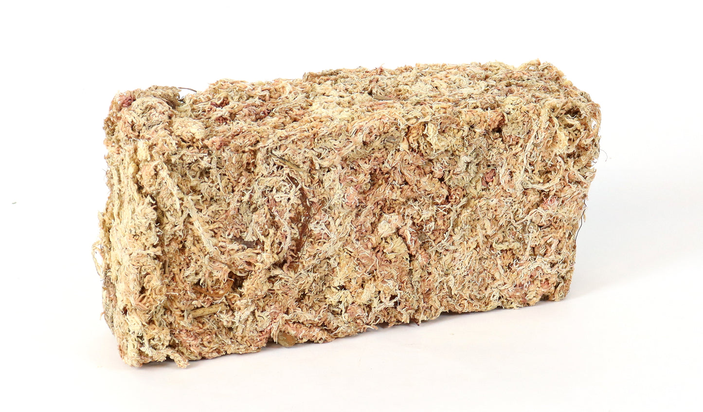 PLANTING MEDIA WHITE MOSS SPHAGNUM MOSS CHILE 100 GRAM