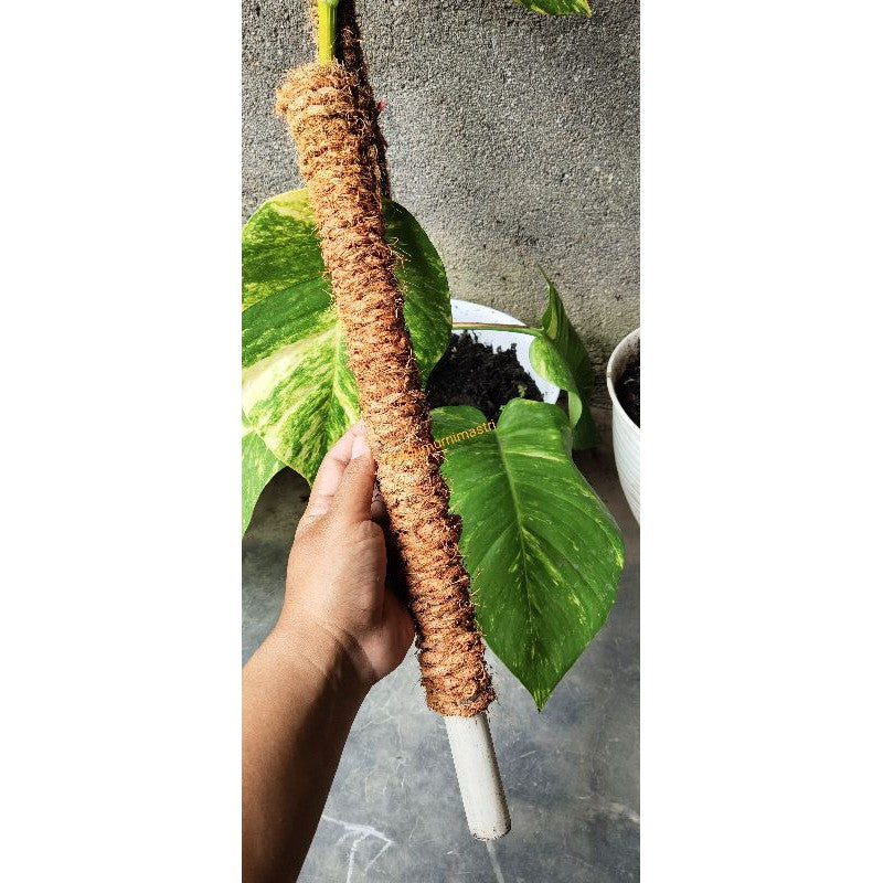 Coconut Husk Fiber Handmade Rope, coconut fiber