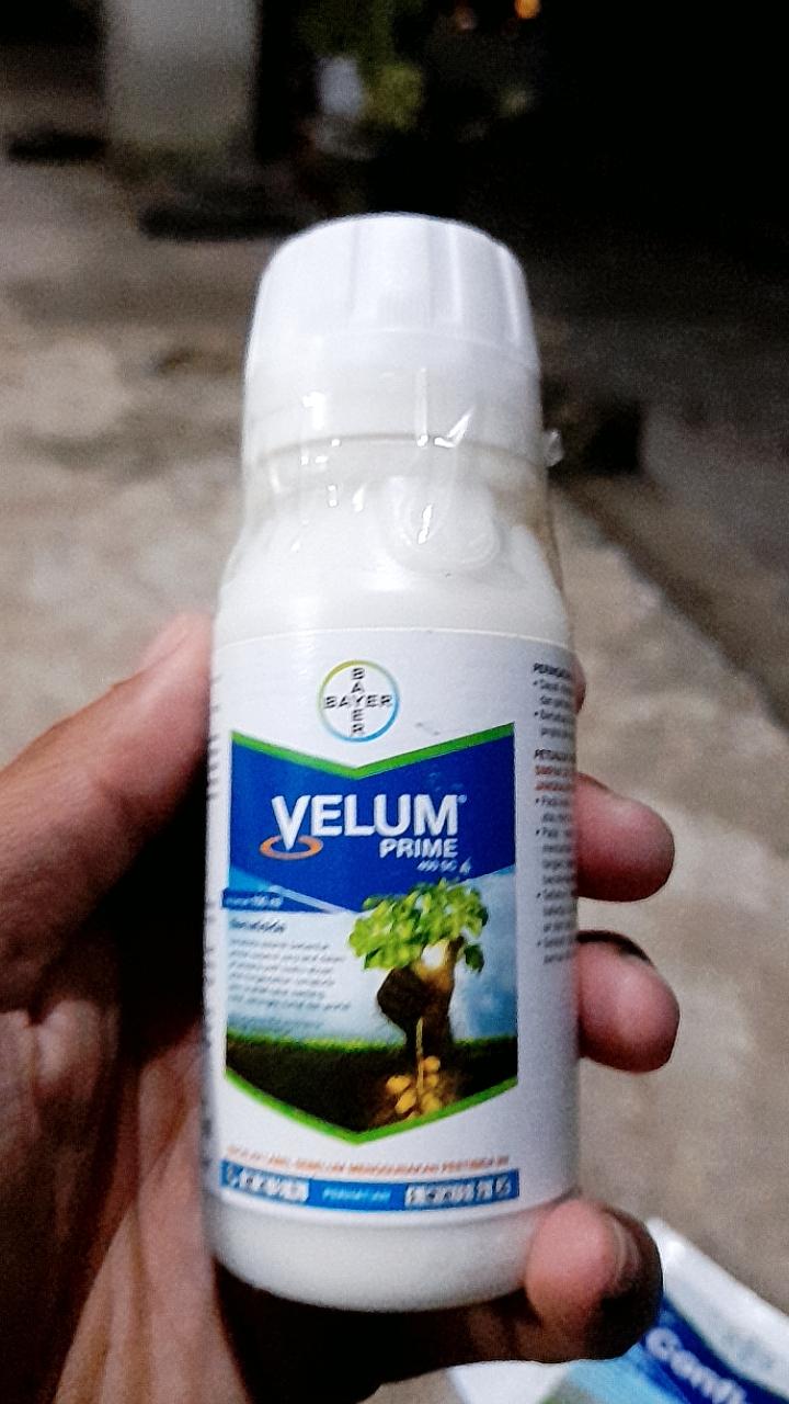 Nematisida VELUM PRIME 400 SC 100ml