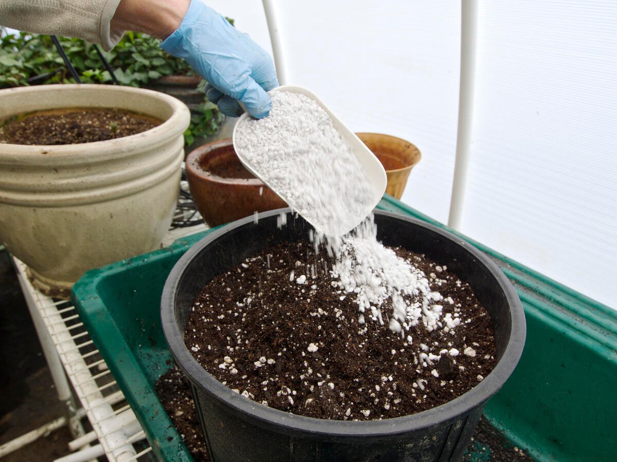 Premium Organic Perlite-Medium Size 3-6mm Grade - Horticultural Soil Amendment for Indoor & Outdoor Container Plants