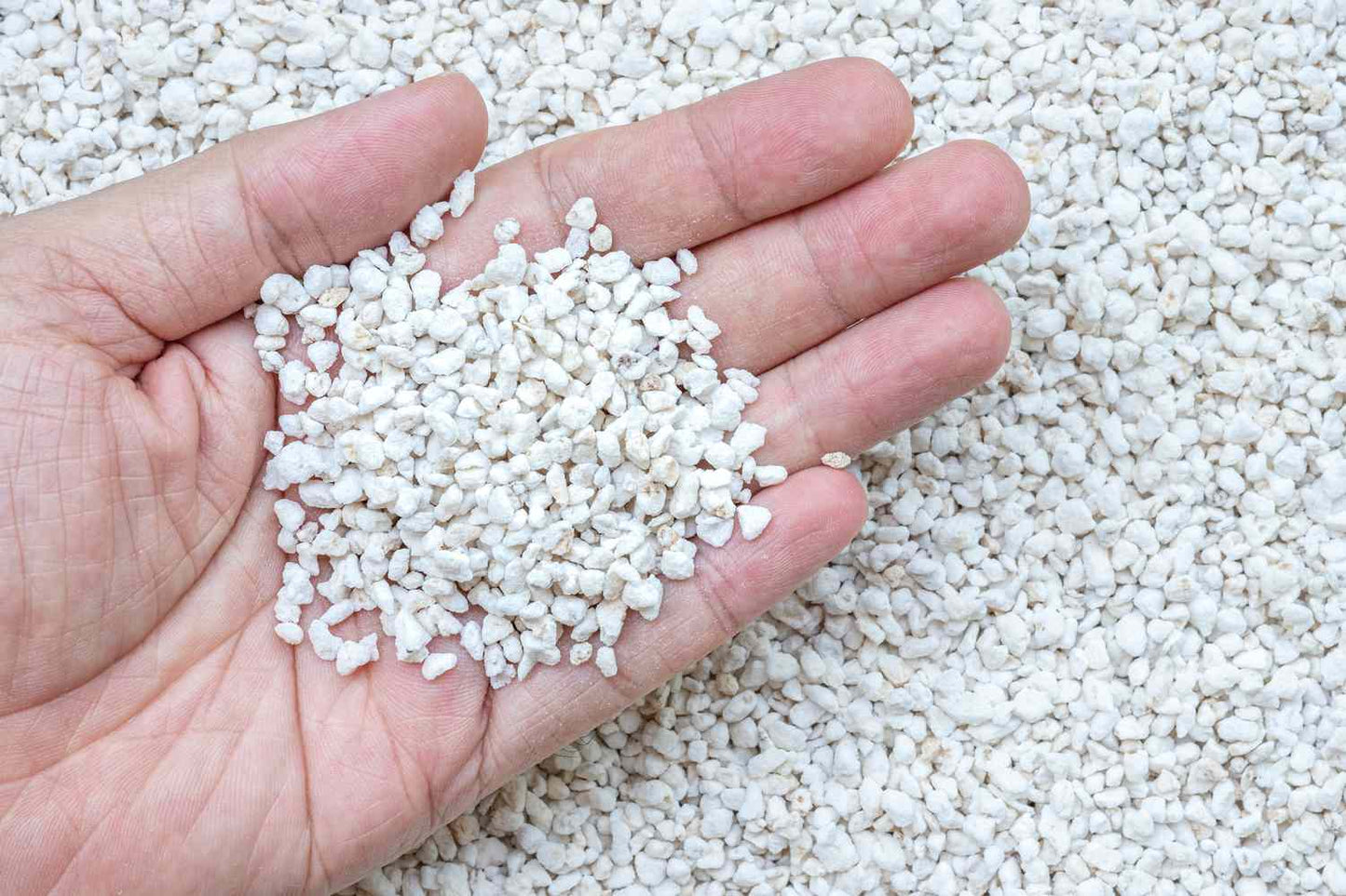 Premium Organic Perlite-Medium Size 3-6mm Grade - Horticultural Soil Amendment for Indoor & Outdoor Container Plants